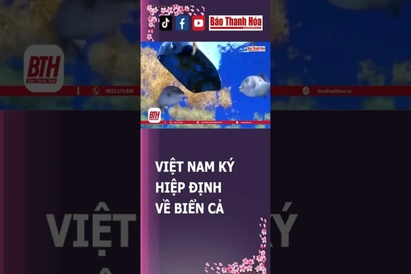 VIỆT NAM KÝ HIỆP ĐỊNH VỀ BIỂN CẢ TẠI TUẦN LỄ CẤP CAO ĐẠI HỘI ĐỒNG LHQ | Báo Thanh Hóa
