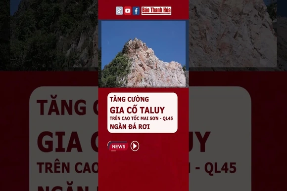 TĂNG CƯỜNG GIA CỐ TALUY TRÊN CAO TỐC MAI SƠN - QL45 NGĂN ĐÁ RƠI #Caotoc #MaiSonQL45