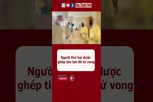 Người thứ hai được ghép tim lợn đã tử vong | Báo Thanh Hóa