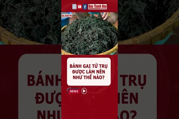 Để làm nên chiếc bánh gai cũng phải trải qua rất nhiều công đoạn #Banhgai #Tutru
