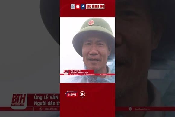 Người dân đã phải gia cố bằng cách tạo cột gỗ chống đỡ, ngăn cho cây cầu không bị sập #NhuThanh