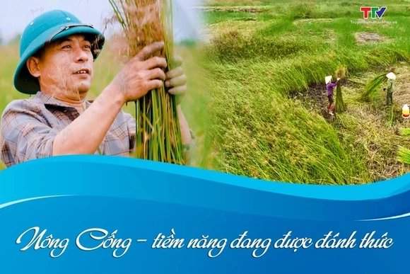 NÔNG CỐNG – TIỀM NĂNG ĐANG ĐƯỢC ĐÁNH THỨC