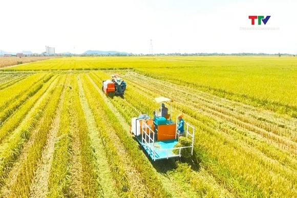 Đảng bộ huyện Thọ Xuân nỗ lực thực hiện các mục tiêu Nghị quyết Đại hội lần thứ 27