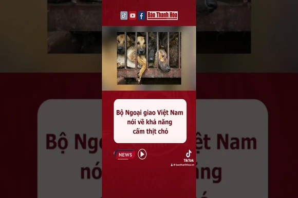 Bộ Ngoại giao Việt Nam nói về khả năng cấm thịt chó #baothanhhoa