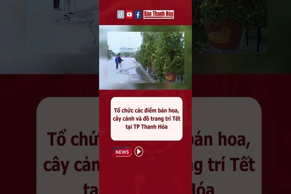 Các điểm bán hoa, cây cảnh và đồ trang trí tết tại TP Thanh Hóa #baothanhhoa #tet2024