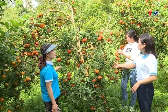 Huyện Như Xuân học tập và làm theo tư tưởng, đạo đức, phong cách Hồ Chí Minh