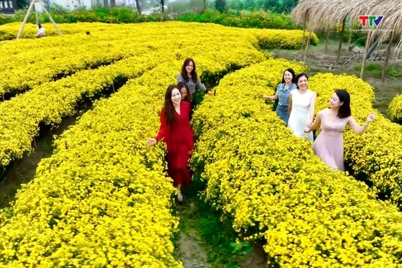 Dịu dàng sắc xuân