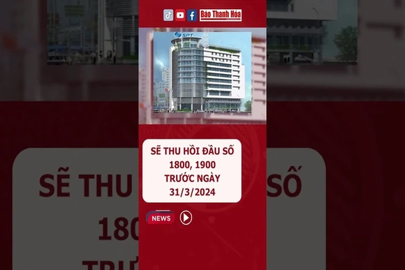 Sẽ thu hồi đầu số 1800, 1900 trước ngày 31/3/2024 #1800 #thuhoi