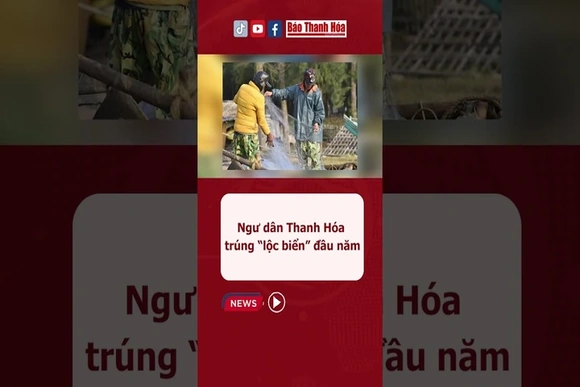 Ngư dân Thanh Hóa trúng “lộc biển” đầu năm #baothanhhoa
