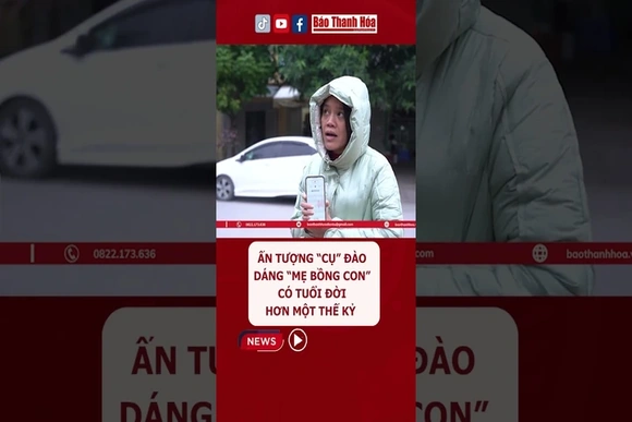 “Tôi chơi loại hoa này đã lâu, thấy độ bền rất tốt. Từ lúc nở đến khi tàn khoảng 1 tháng”