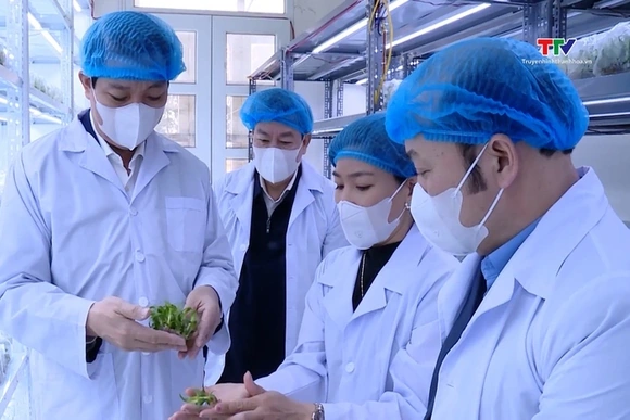 Phó Chủ tịch UBND tỉnh Lê Đức Giang kiểm tra sản xuất tại Thọ Xuân và Lang Chánh