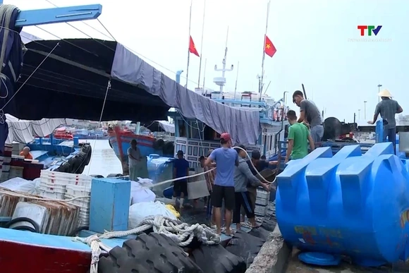 Quyết tâm không để tình trạng tàu cá Việt Nam đi khai thác hải sản trái phép