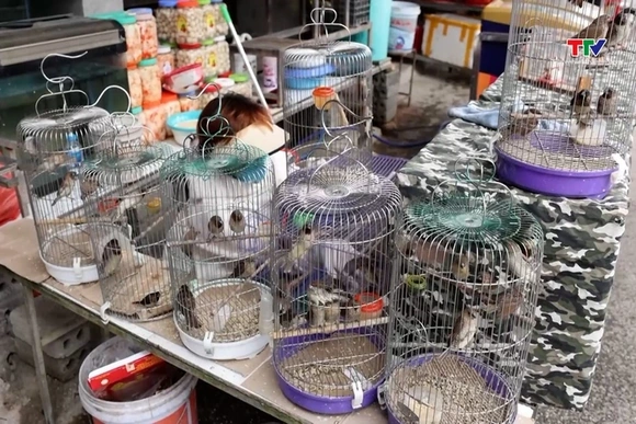 Hiểu đúng về phóng sinh