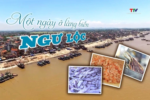 Một ngày ở làng biển Ngư Lộc