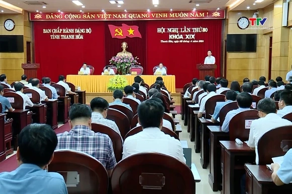 Hội nghị Ban Chấp hành Đảng bộ tỉnh lần thứ 30