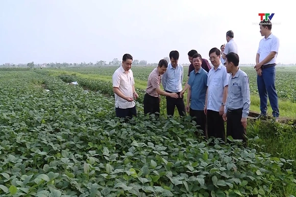 Chương trình mục tiêu quốc gia xây dựng nông thôn mới ở huyện Hậu Lộc
