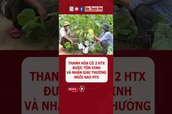 Thanh Hóa có 2 HTX được tôn vinh và nhận giải thưởng Ngôi sao HTX