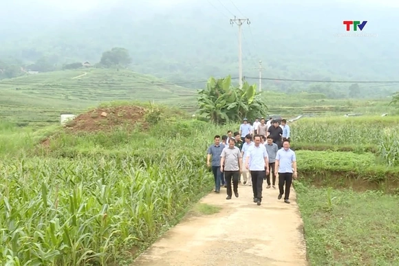Phó Bí thư Tỉnh uỷ Trịnh Tuấn Sinh làm việc tại Bá Thước