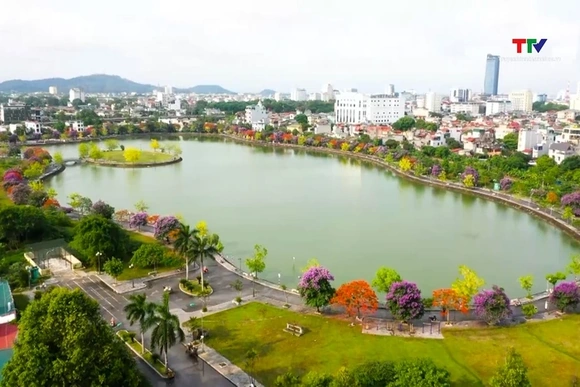 Sắc hoa mùa hạ