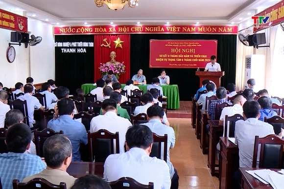 6 tháng năm 2024, tốc độ tăng trưởng ngành nông nghiệp đạt khá