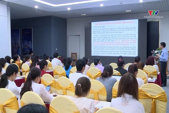 Tập huấn bồi dưỡng, cập nhật các quy định mới về chính sách lao động, tiền lương, bảo hiểm xã hội
