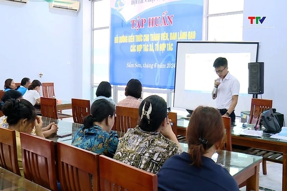 Tập huấn cho thành viên, lãnh đạo các mô hình kinh tế tập thể do phụ nữ làm chủ
