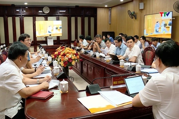 Chính phủ họp trực tuyến hoàn thiện dự thảo Nghị định về đất trồng lúa