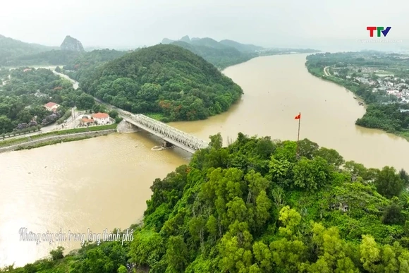 Những cây cầu trong lòng thành phố