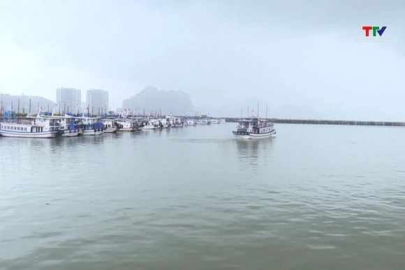 Xúc tiến thương mại và du lịch Thanh Hoá – Quảng Ninh
