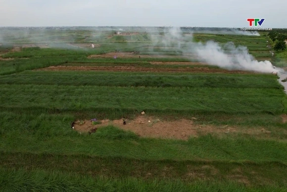 Nga Sơn - miền quê cổ tích