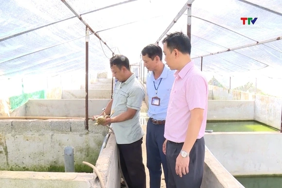 Tăng cường sự lãnh đạo của Đảng đối với tín dụng chính sách xã hội