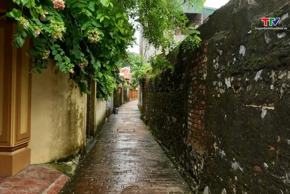 Ngõ vắng xôn xao