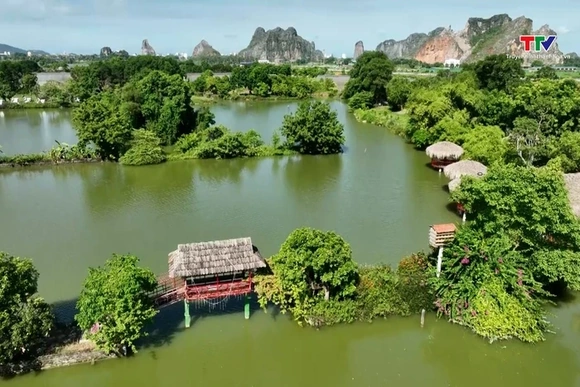 Trang trại T-farm – Điểm đến nhiều trải nghiệm