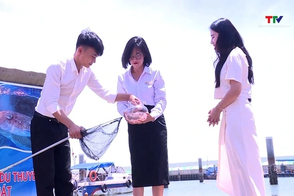 Trải nghiệm thú vị với mực nhảy ở Nghi Sơn