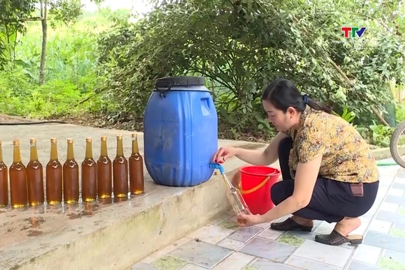 Đến 2025 vận động, thu hút thêm 5.100 thành viên hợp tác xã