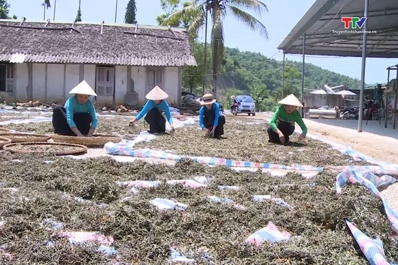Phụ nữ Thanh Hóa đồng hành cùng hội viên phát triển kinh tế