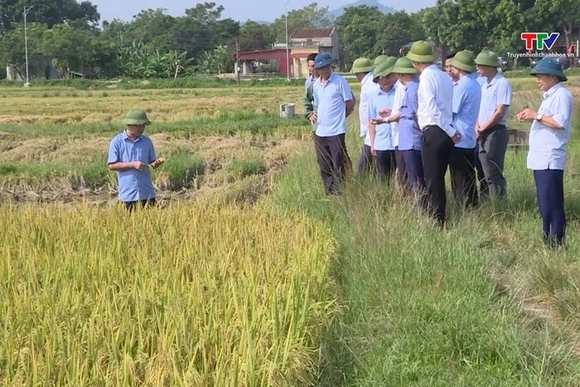 Lãnh đạo Sở Nông nghiệp và Phát triển nông thôn kiểm tra công tác chuẩn bị ứng phó bão số 3