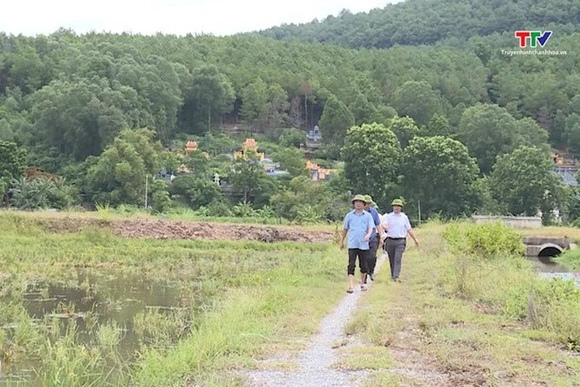 Tập trung thu hoạch lúa, đảm bảo tiêu thoát nước ở vùng trũng