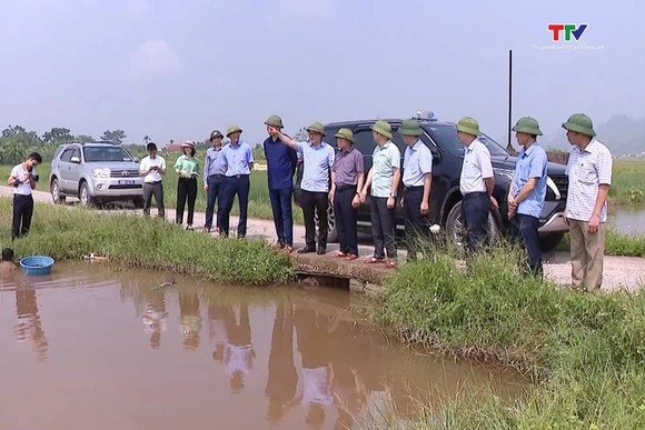 Phó Bí thư Thường trực Tỉnh uỷ Lại Thế Nguyên kiểm tra các công trình tiêu úng