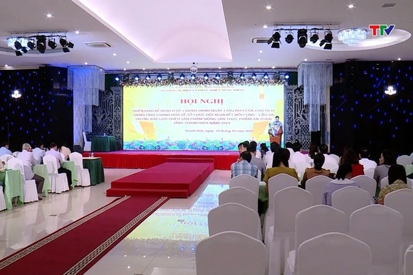 Triển khai kế hoạch hội nghị kết nối cung cầu và trưng bày giới thiệu sản phẩm nông sản tỉnh Thanh H