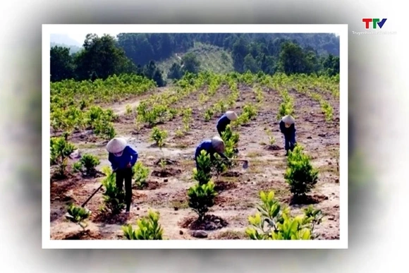 Kế hoạch quốc gia thích ứng với biến đổi khí hậu giai đoạn 2021 - 2030, tầm nhìn đến năm 2050