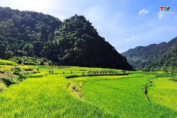 Puluông - Điểm đến bốn mùa