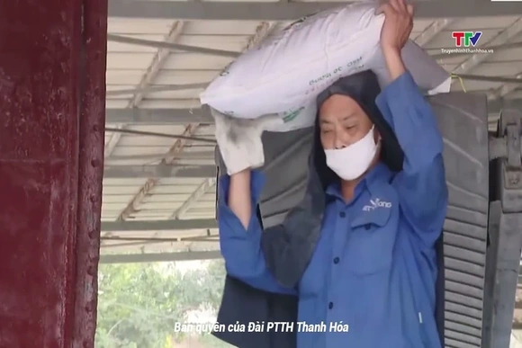 Xuất khẩu phân bón Việt Nam thu về hơn 700 triệu USD