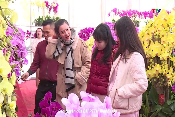 Thành phố Thanh Hóa nhộn nhịp thị trường hoa, cây cảnh phục vụ Tết Nguyên đán Ất Tỵ 2025
