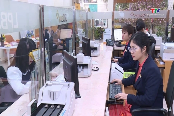Không khí làm việc những ngày đầu năm Ất Tỵ 2025