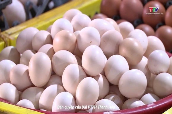 Trứng gà giảm giá mạnh