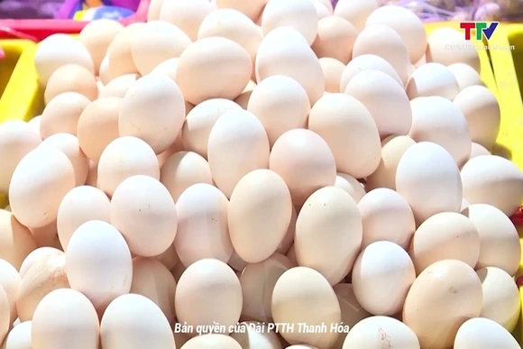 Giá trứng gia cầm giảm mạnh