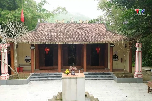 Bình yên giữa tán cây rừng