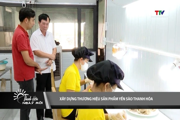 Xây dựng thương hiệu sản phẩm yến sào Thanh Hóa