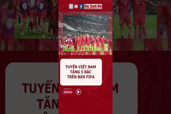 Tuyển Việt Nam tăng 5 bậc trên bảng xếp hạng FIFA